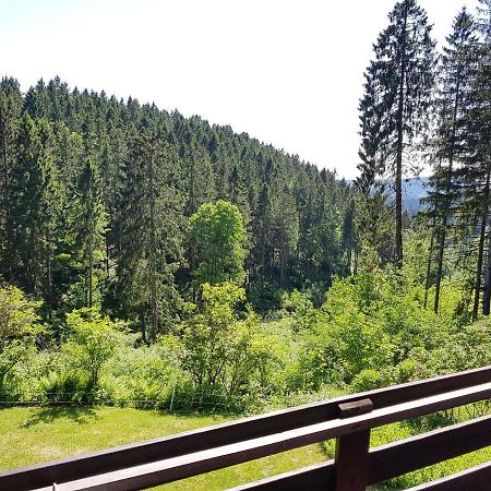 Fewo Waldblick Санкт-Андреасберг Экстерьер фото