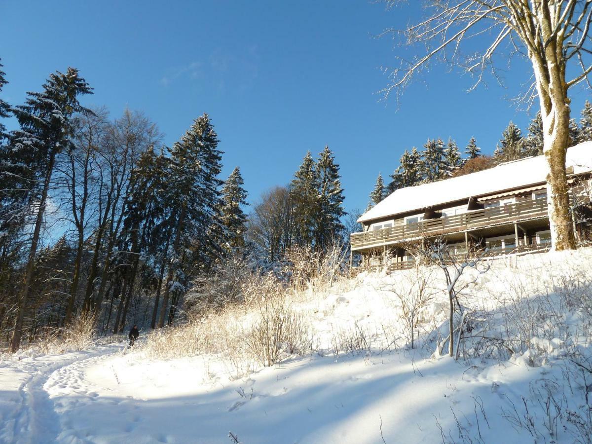 Fewo Waldblick Санкт-Андреасберг Экстерьер фото